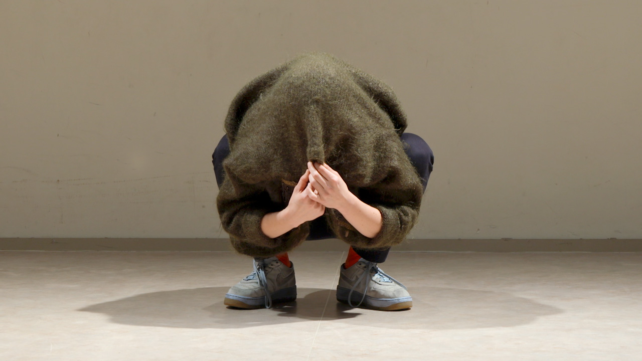 Ranunculus Tanzforum Berlin